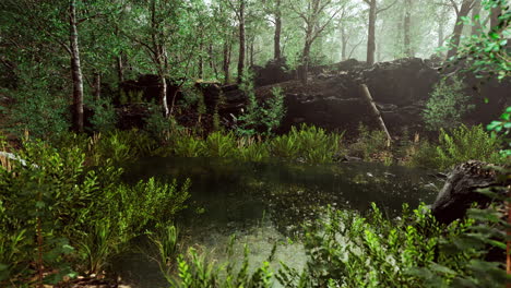 Waldfrühlingslandschaft-Mit-überwuchertem-Teich