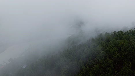 clouds and fog over the green forest with mo chhu river in punakha, bhutan