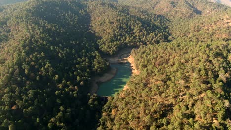 View-From-Above-Of-Forest-Landscape-Surrounding-El-Calaque-Lake-In-Jalisco,-Mexico