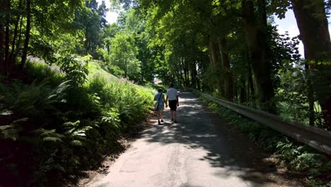 elderly couple holding hands going for a walk along the road in the forest