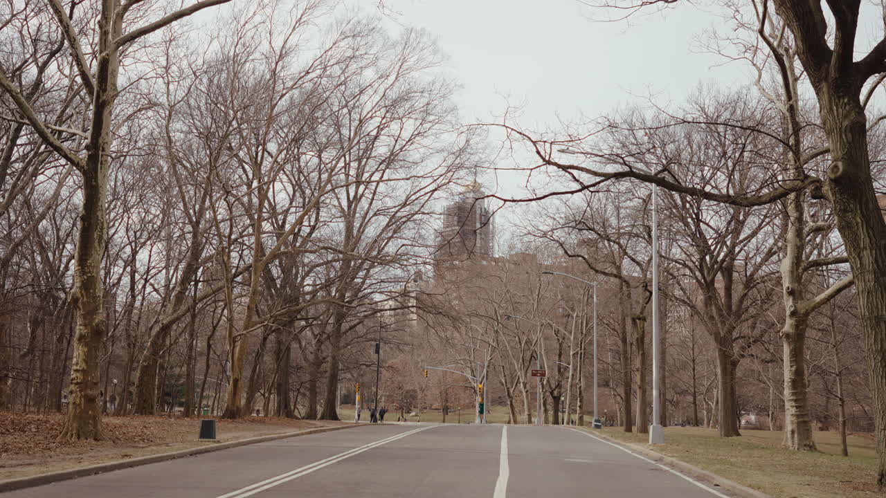Central Park Winter Scene