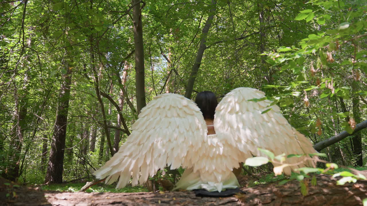 Top down rear view mystical figure with grand white angel wings sitting peacefully on fallen tree trunk amid lush forest greenery bathed in soft sunlight creating ethereal serene magical atmosphere