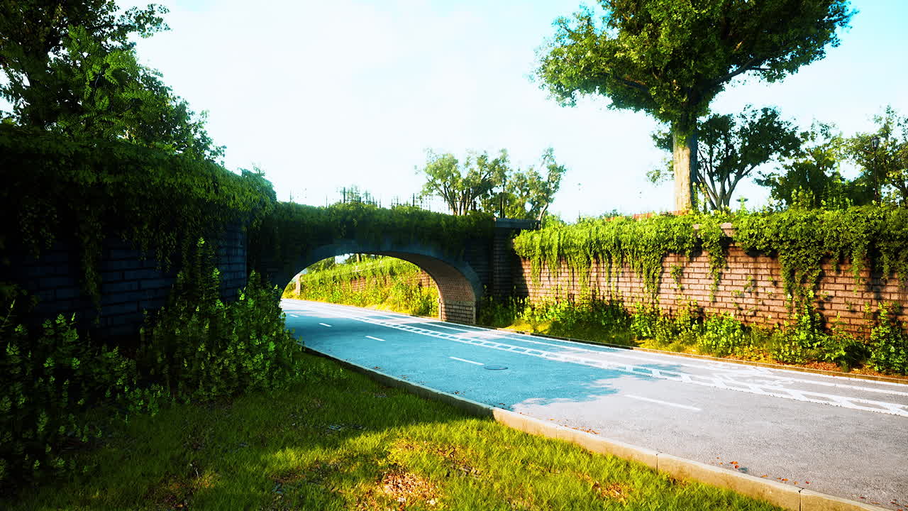 시내의 비어있는 거리는 코로나바이러스 전염병 비상사태를 일으킨다.