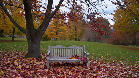 autumn park bench scene