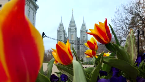 Templo-De-Lago-Salado-Para-La-Iglesia-De-Jesucristo-De-Los-Santos-De-Los-últimos-Días-En-Primavera-Con-Hermosas-Flores-Que-Adornan-Los-Terrenos-Del-Templo