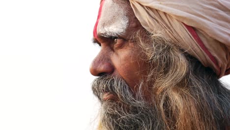 el retrato de un santo sadhu indio