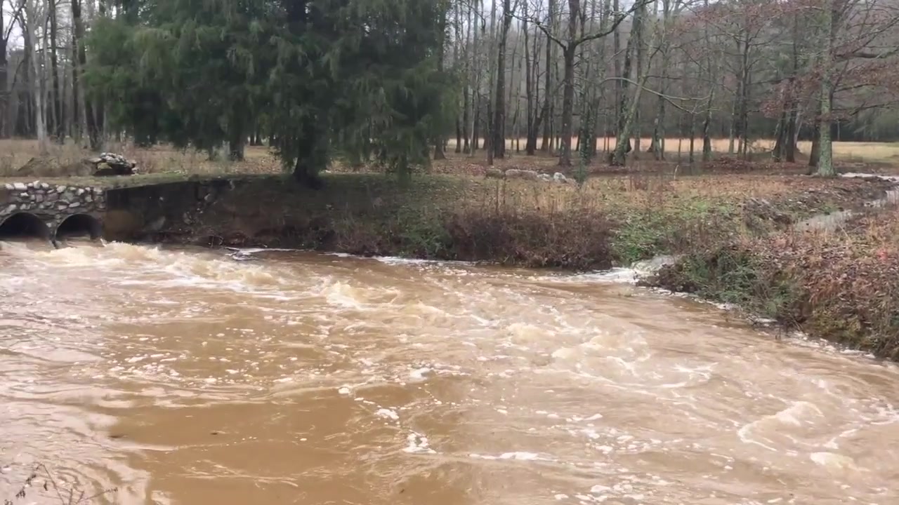Filmato di un ruscello in piena in una fattoria