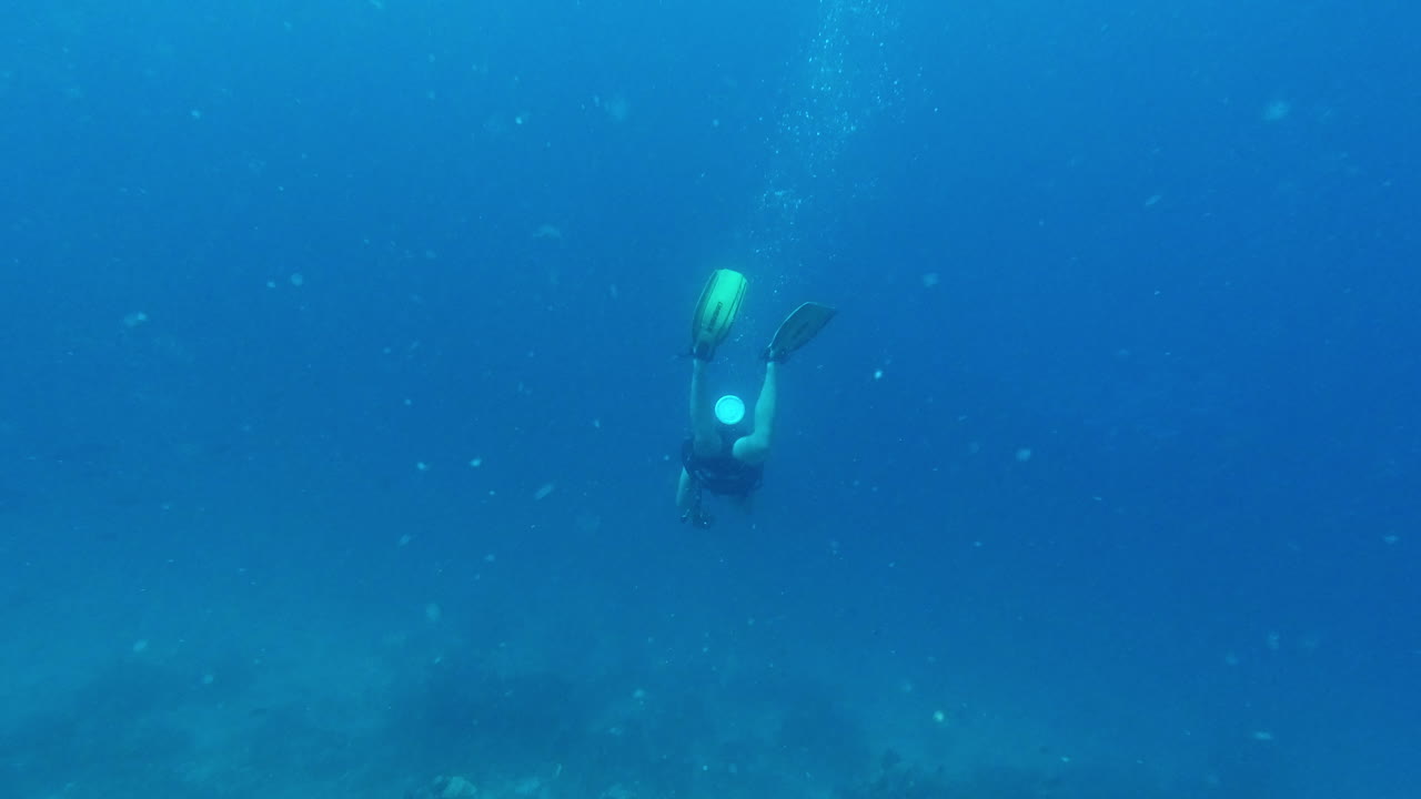 바다는 너무 넓어서 탐험할 수 없습니다.