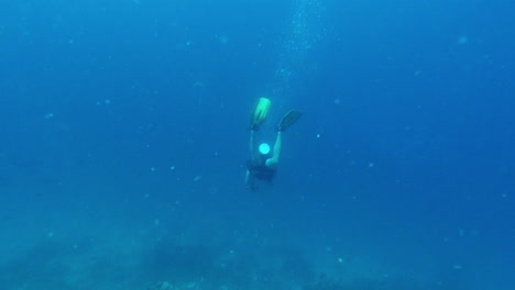 el mar es demasiado grande para no ser explorado.