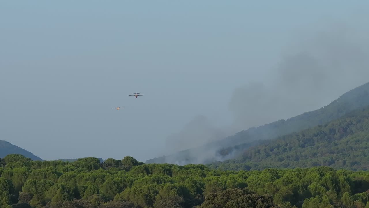 167mm drone filming a fire in a pine forest, we see the trail of smoke and we see two seaplanes, one releases a discharge of water and the other moves away, it is filmed in slow motion