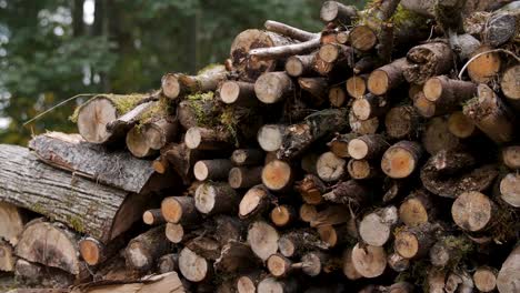 A well stocked outdoor pile of firewood