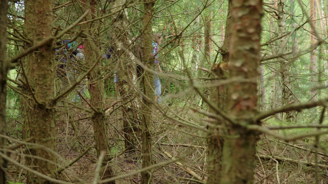 tres amigos viajando a través de un denso bosque de coníferas durante las vacaciones de verano