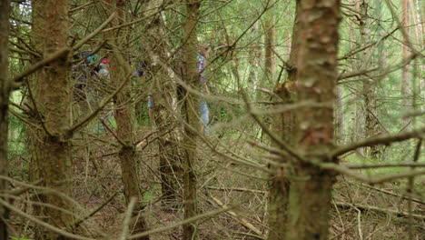 three friends traveling through dense coniferous forest during summer vacation