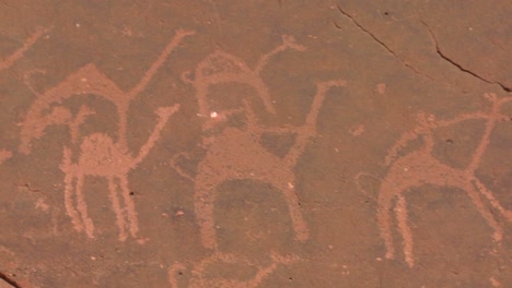 close up of ancient and mysterious petroglyphs depicting humans and camels in the saudi desert near wadi rum jordan