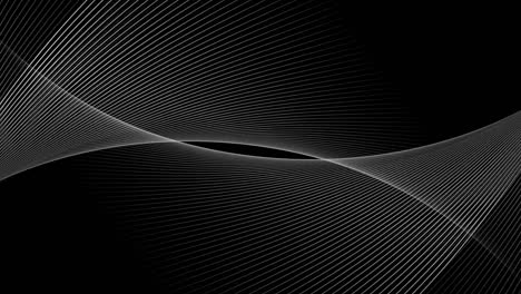 animation of intersecting curved white parallel lines moving on black background