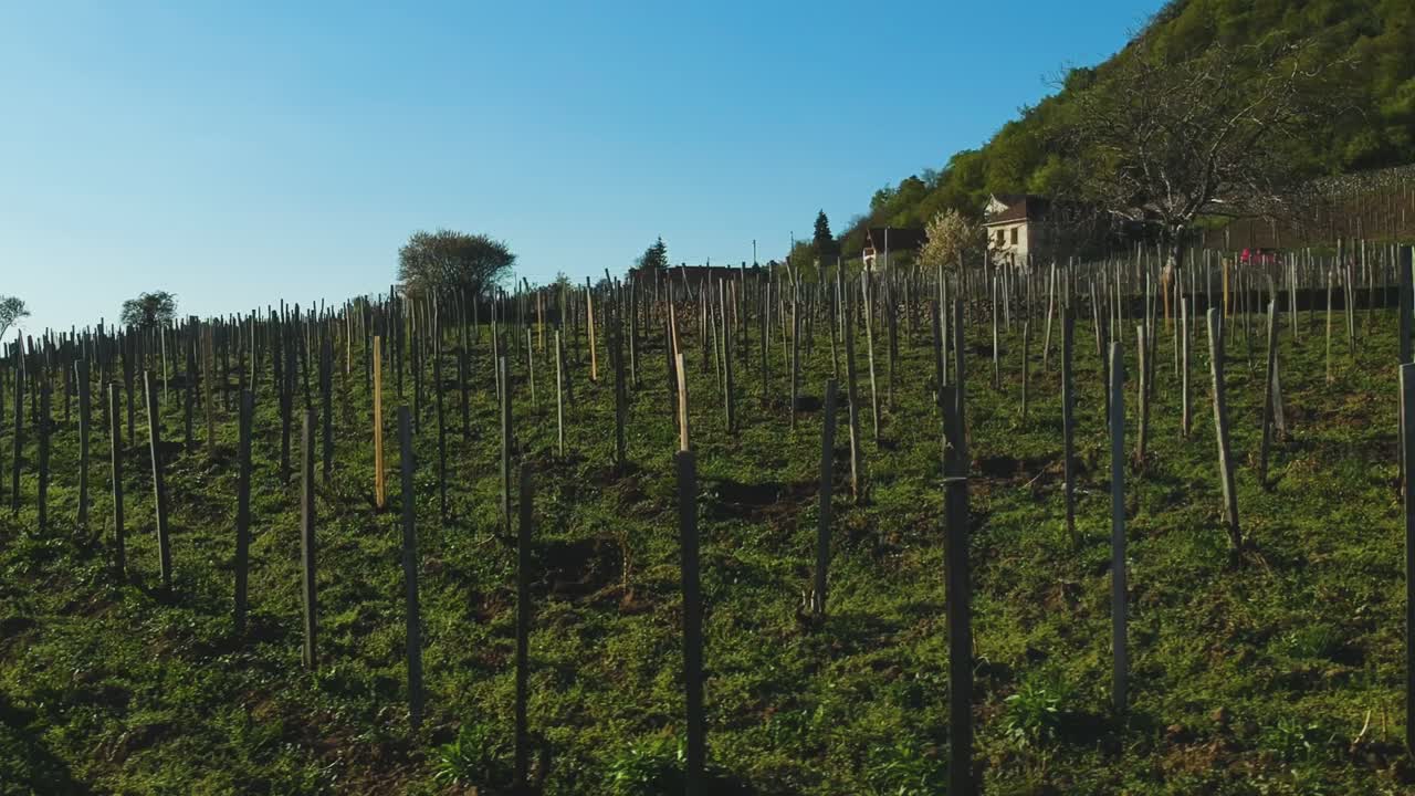 Nachmittägliche aufsteigende Drohnenansicht über einem privaten Weingut.
