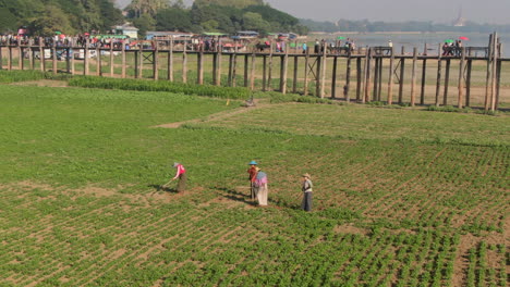 field-workers-in-traditional-clothes-near-on-U-Bein-Bridge,-Mandalay,Myanmar