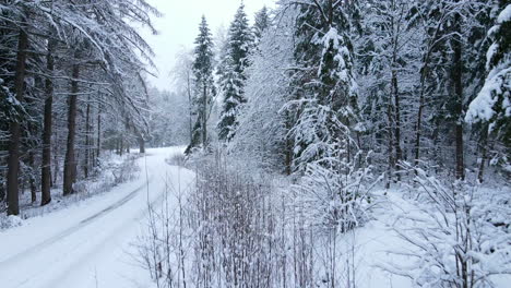 aerial flight along snow covered forest road through snowy trees beautiful winter scene