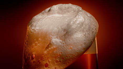 Lager-beer-settles-in-the-glass-with-a-white-cap-of-foam