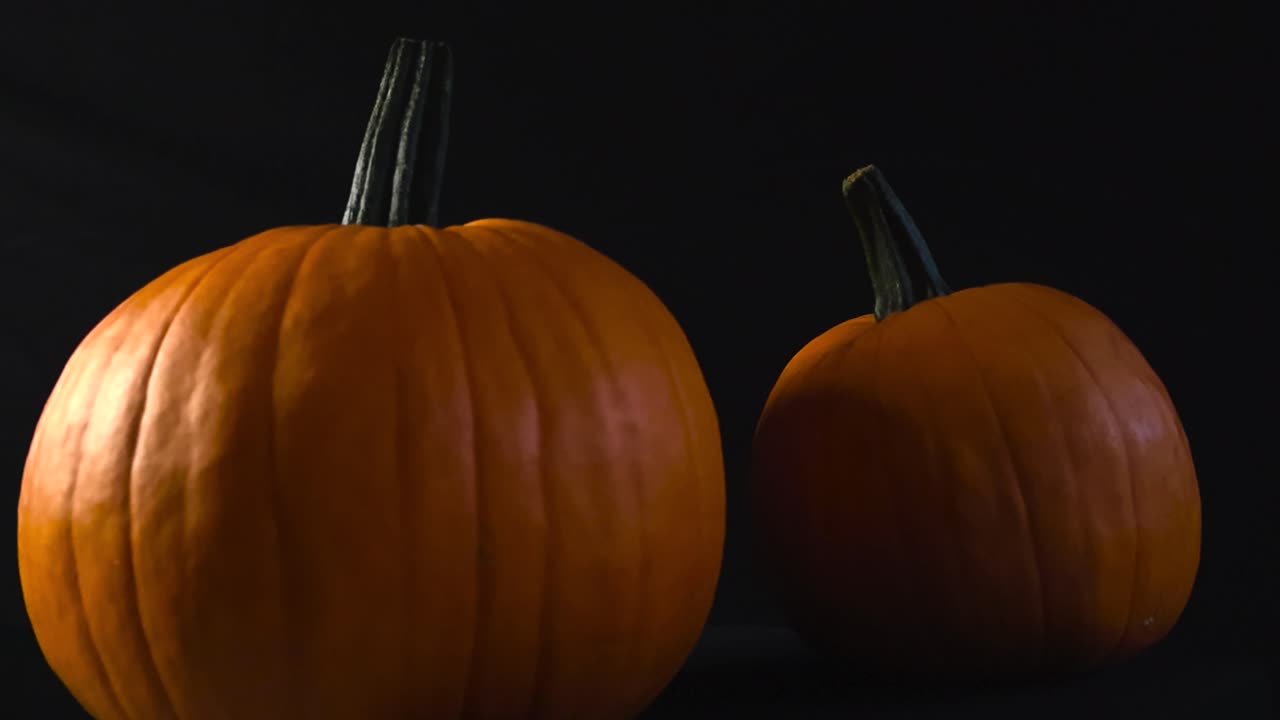 Studio shot of two vibrant orange pumpkins with stems lit against a dark background, highlighting shape and texture