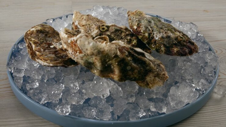 Oysters on Ice