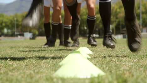 rugby players jumping over the divider 4k 4k