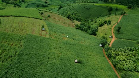 4K-Filmische-Naturluftdrohnenaufnahmen-Der-Wunderschönen-Berge-Und-Reisterrassen-Von-Ban-Pa-Pong-Piang-Am-Doi-Ithanon-Neben-Chiang-Mai,-Thailand-An-Einem-Bewölkten,-Sonnigen-Tag