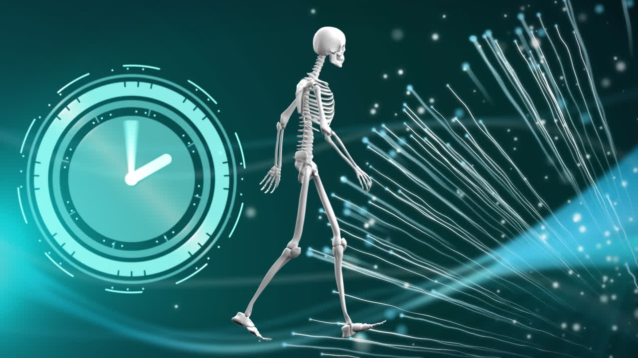 연결망과 인체의 시계 애니메이션