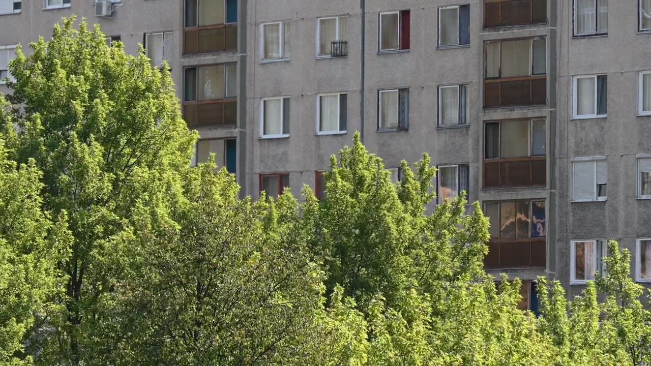 Contraste entre natureza e cidade com árvores verdes e complexo de apartamentos.