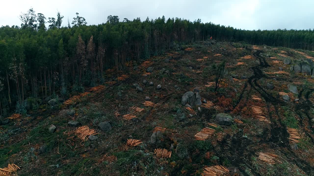 Deforestation. Aerial drone view of forest destroyed. Deforestation on Mountain Slope