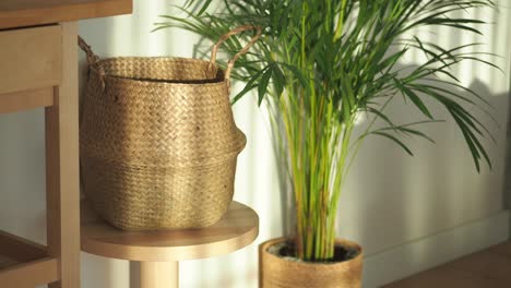 indoor home decor with woven basket and potted plant in sunlight