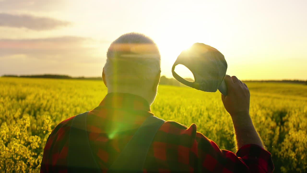 Senior Farmer Standing in Golden Rapeseed Field at Sunset