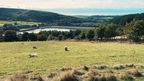 Ogden-Saddleworth-moor-in-Oldham,-England-of-a-series-of-Lakes,-Reservoirs,-set-against-a-backdrop-of-moorland,-woodlands-and-farmland-pastures