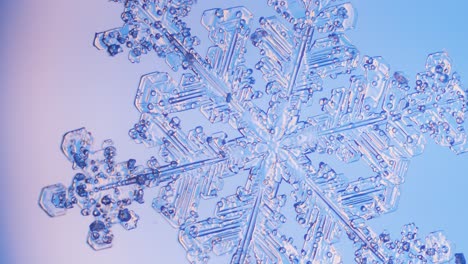 copo de nieve de cerca bajo el microscopio vista panorámica fondo azul detalles finos