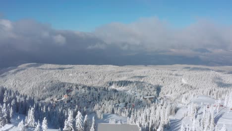 village surrounded by dense forest near jahorina mountain during winter season in bosnia and herzegovina