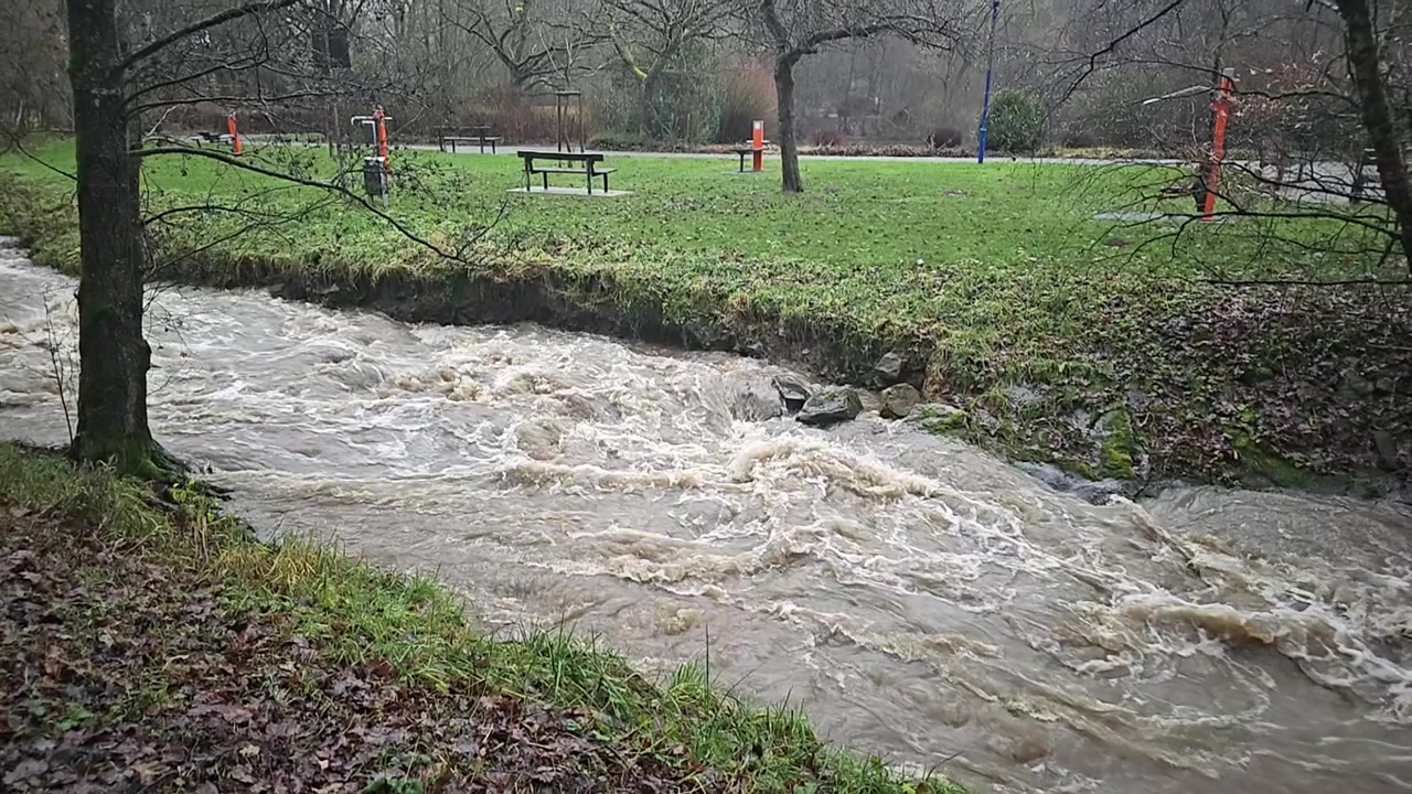 Turbulent brown water flowing rapidly in a swollen creek after heavy rain, eroding the riverbank