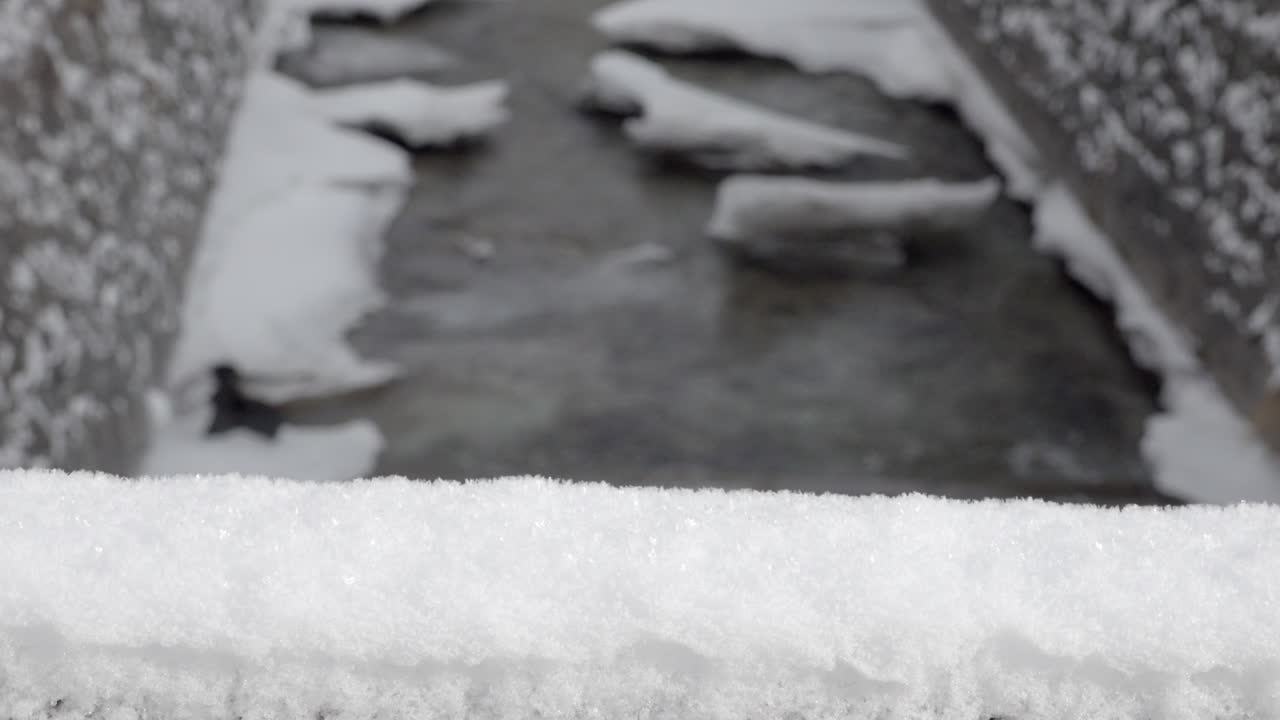 背景の焦点が合っていない