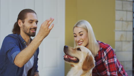 close up view of man sitting with her girlfriend outdoors and training his labrador dog to give five