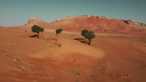 aerial view of red sand dunes and mountains