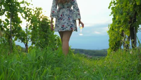 Stunning-HD-footage-of-a-young-white-Caucasian-woman-with-a-knitted-hat,-dress-and-red-lipstick-walking-through-vineyards-with-a-wine-glass-in-hand