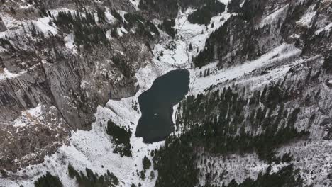 birds-eye view of small lake in between mountain valley covered in evergreens and snow