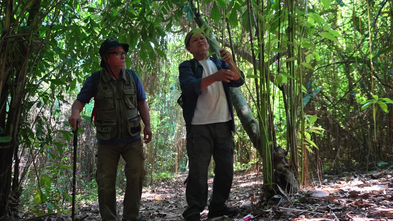 두 명의 노인 남자가 배과 모자를 입고 함께 산책하고 숲을 탐험하고 있습니다.