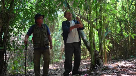 dos hombres mayores usan mochila y sombrero caminando y explorando el bosque juntos
