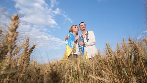 a ukrainian couple in love sings a song in the middle of a wheat field embroidered clothes a ukrainian couple in love sings a song in the middle of a wheat field dressed in embroidered clothes ukraines victory in the war