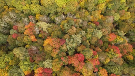 Colores-Del-Otoño-En-Las-Montañas-Apalaches-Cerca-De-Boone-Carolina-Del-Norte,-Carolina-Del-Norte