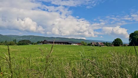 shed, corral, in switzerland, green fields