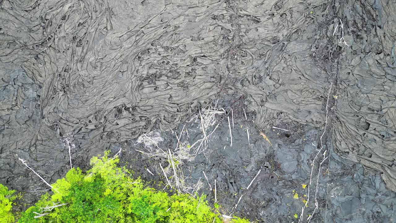 Drone: Perbatasan Pohon Hijau dan Batuan Beku yang Mengeras