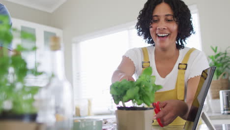 Mujer-Birracial-Sonriente-Cortando-Hojas-De-Planta-De-Albahaca-En-La-Cocina,-En-Cámara-Lenta