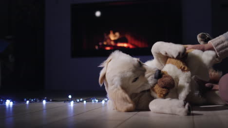 a woman's hand with a plush puppy plays with a cute dog that lies near the fireplace. christmas eve