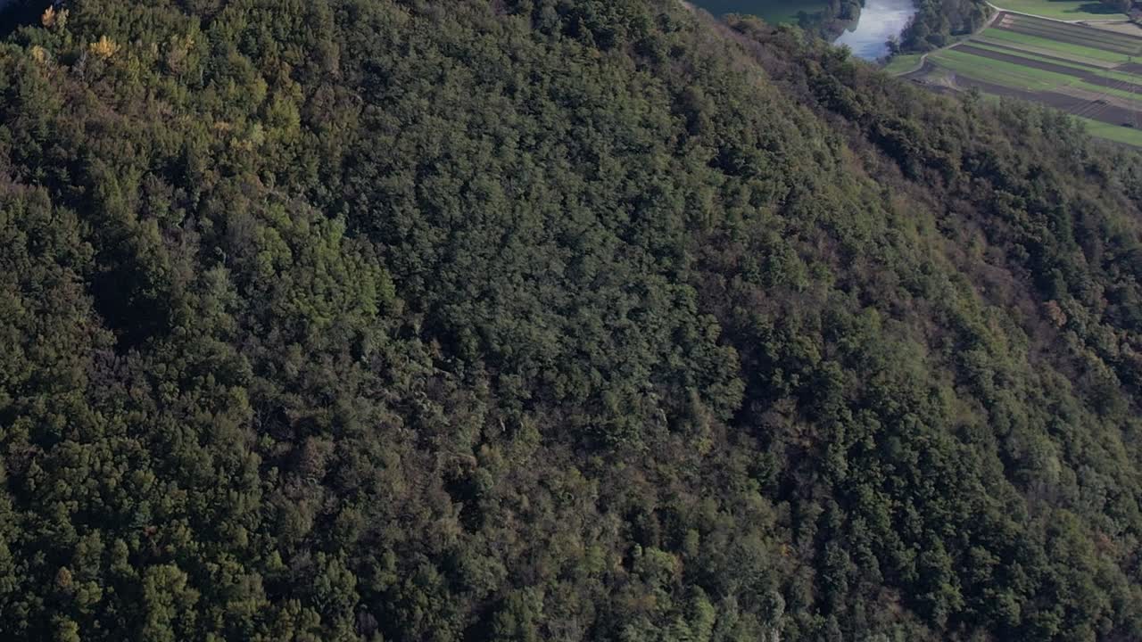 Aerial view of lush forests in the Italian Alps showcasing natural beauty